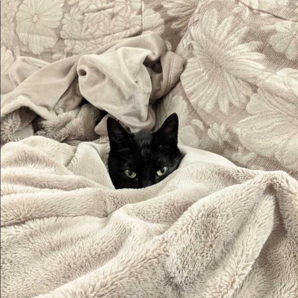 Meet your Posher, Anaïs